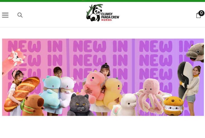 design, redesign shopify store, shopify dropshipping store, shopify website